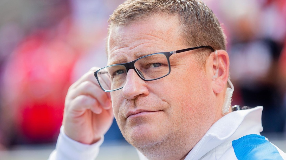 Sedrina Schaller – Karriere, Werdegang und öffentliche Wahrnehmung